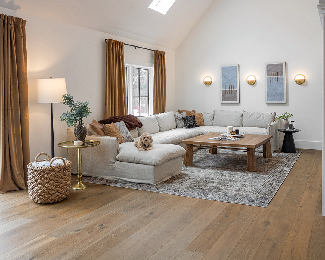 Small dog resting on couch in modern living room with accents and decor on a medium brown wood floor