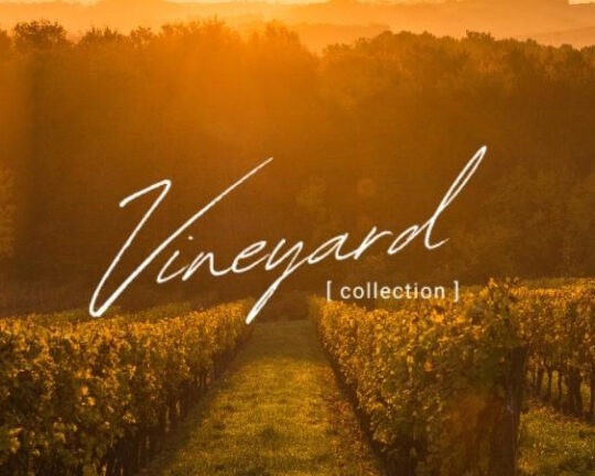 Vineyard Collection