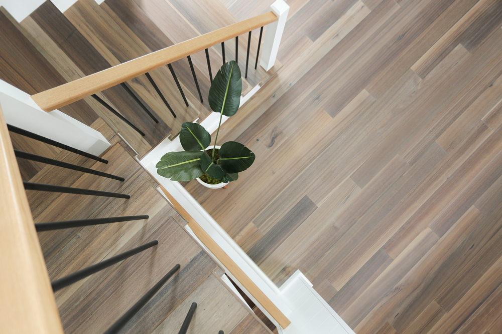 Unique shot of stairs twisting down to wood floor and matching stair treads.